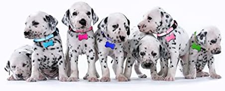 Uteuvılı Kimlik Etiketleri ile Çöp için 12 ADET Köpek Tasması Yavru Kimlik Tasmaları Whelping Köpek Tasmaları Emniyet Tokası