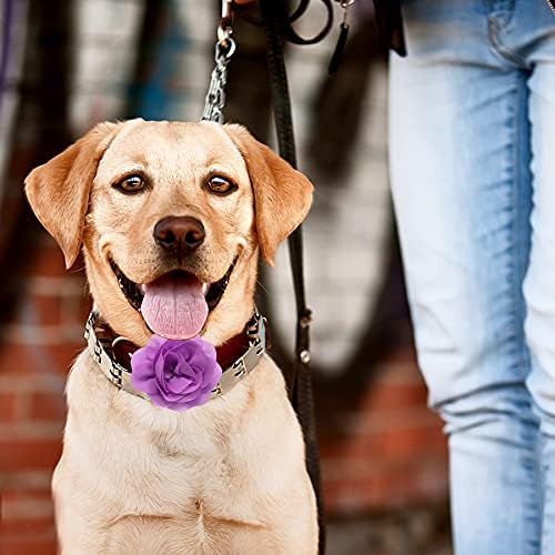 PET GÖSTERİSİ 12 adet Mor köpek tasması Yaylar ve Çiçekler Eki Kızlar için Yavru Kediler Kadın Küçük Orta Köpekler Yaka Süsleme
