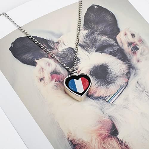 Fransa Kalp Retro Bayrak evcil hayvan vazosu Kolye Kremasyon Kalp Kolye Anıt Hatıra Takı Köpekler Kediler için Külleri Kadınlar