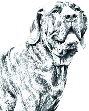Fila Brasileiro, Köpek Görüntüsü olan Seramik Karodan Oval Mezar Taşı